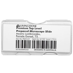 Livingstone Prepared Slide Transverse