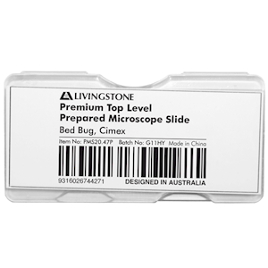Livingstone Premium Top Level Prepared Slide, Bed Bug, Cimex, Each Each