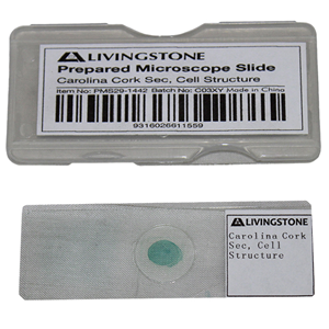 Livingstone Prepared Slide Transverse