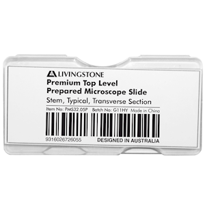 Livingstone Premium Top Level Prepared Slide, Stem, Typical, Transverse Section, Each Each