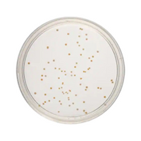 Livingstone Prepared Plated Media, R2A Agar Plates, 10 Pieces/Pack Pack