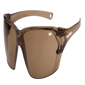 Bolle Safety Spec Prism Bronzelens Each