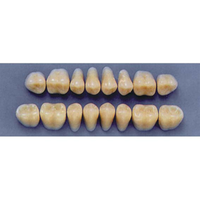 ULTRADENT POST. 29L/65 LOWER (1x8 CARD) Card