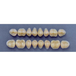 ULTRADENT POST. 29M/67 LOWER (1x8 CARD) Card
