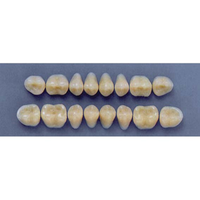 ULTRADENT POST. 29M/81 UPPER (1x8 CARD) Card