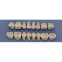 ULTRADENT POST. 29S/59 LOWER (1x8 CARD) Card