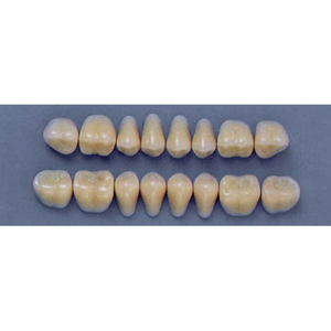 ULTRADENT POST. 29S/67 UPPER (1x8 CARD) Card