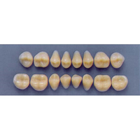 ULTRADENT POST 30M/59 LOWER (1x8 CARD) Card