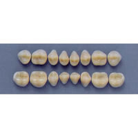 ULTRADENT POST 30S/77 LOWER (1x8 CARD) Card