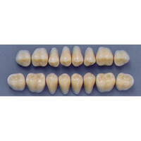ULTRADENT POST. 31L/59 UPPER (1x8 CARD) Card
