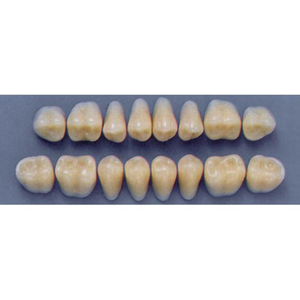 ULTRADENT POST. 31L/77 UPPER (1x8 CARD) Card