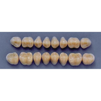 ULTRADENT POST. 31M/59 LOWER (1x8 CARD) Card
