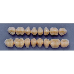 ULTRADENT POST. 31M/A2 LOWER (1x8 CARD) Card