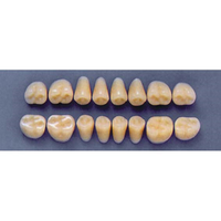 ULTRADENT POST. 31Z/65 UPPER (1x8 CARD) Card