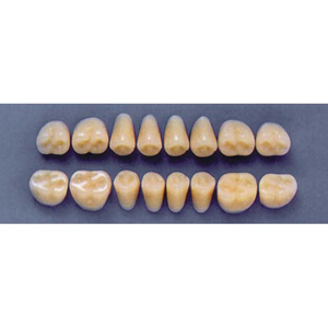 ULTRADENT POST. 31Z/65 UPPER (1x8 CARD) Card