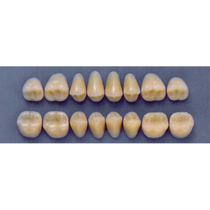 ULTRADENT POST. 32F/59 UPPER (1x8 CARD) Card