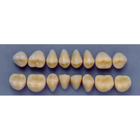 ULTRADENT POST 32L/66 LOWER (1x8 CARD) Card