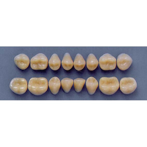 ULTRADENT POST 32M/81 LOWER (1x8 CARD) Card
