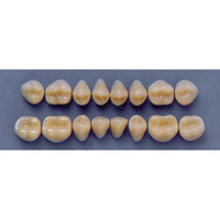 ULTRADENT POST 32M/66 UPPER (1x8 CARD) Card