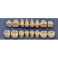 ULTRADENT POST. 33F/69 LOWER (1x8 CARD) Card