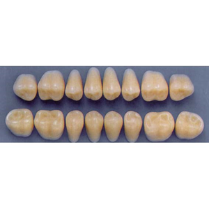 ULTRADENT POST. 33L/67 LOWER (1x8 CARD) Card