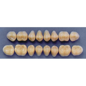 ULTRADENT POST. 33M/A3 LOWER (1x8 CARD) Card