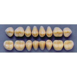 ULTRADENT POST 34L/67 LOWER (1x8 CARD) Card