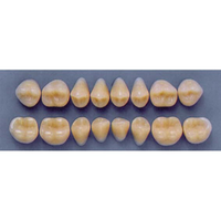 ULTRADENT POST 34M/67 LOWER (1x8 CARD) Card