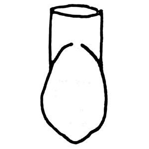 WILLIAMS FRASACO TYPE CROWNS 333 5/PK Pack