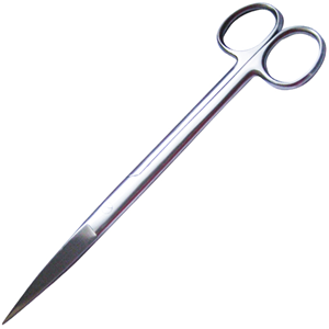 Livingstone Surgical Scissors